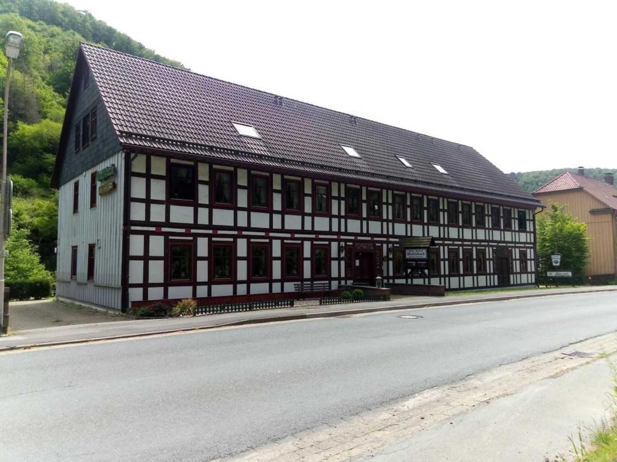 Haus Am Wolfsbach Daire Zorge Dış mekan fotoğraf