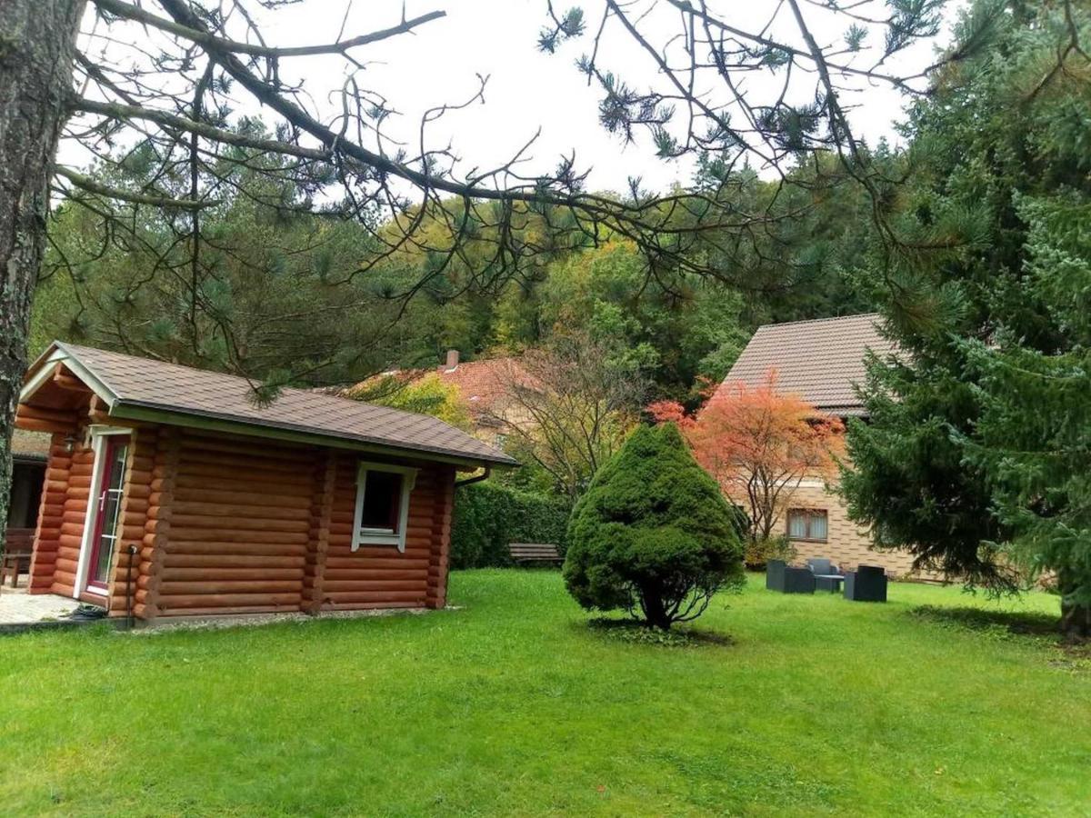 Haus Am Wolfsbach Daire Zorge Dış mekan fotoğraf