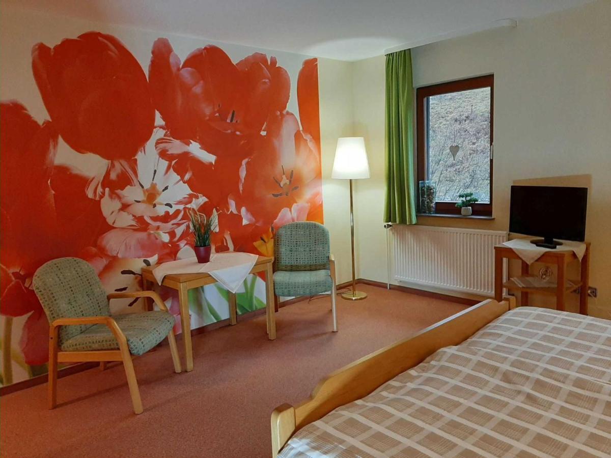 Haus Am Wolfsbach Daire Zorge Dış mekan fotoğraf