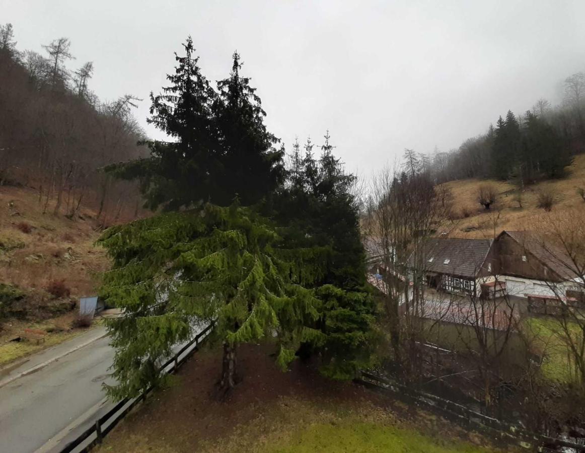 Haus Am Wolfsbach Daire Zorge Dış mekan fotoğraf